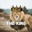 le lion le roi de la jungle bg