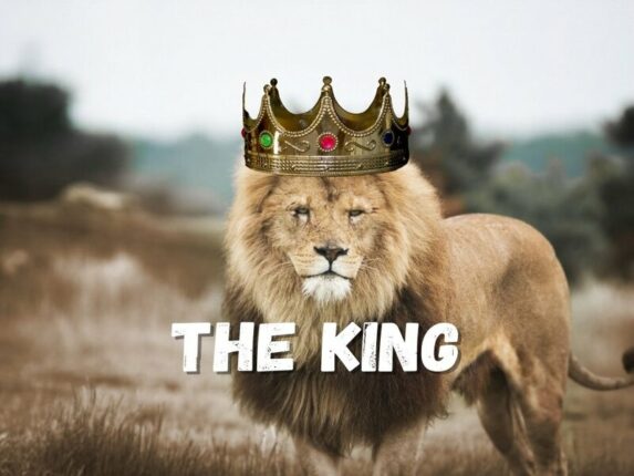 le lion le roi de la jungle bg