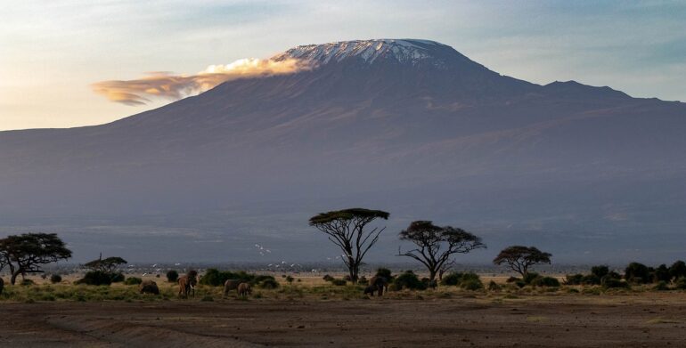 la montagne kilimandjaro