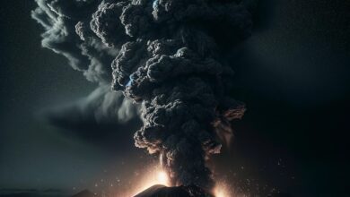 volcans et activité volcanique