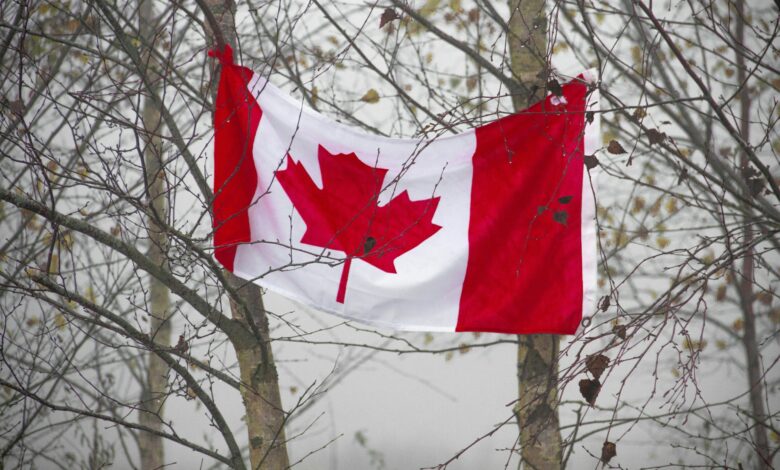 la feuille d'érable sur le drapeau du Canada