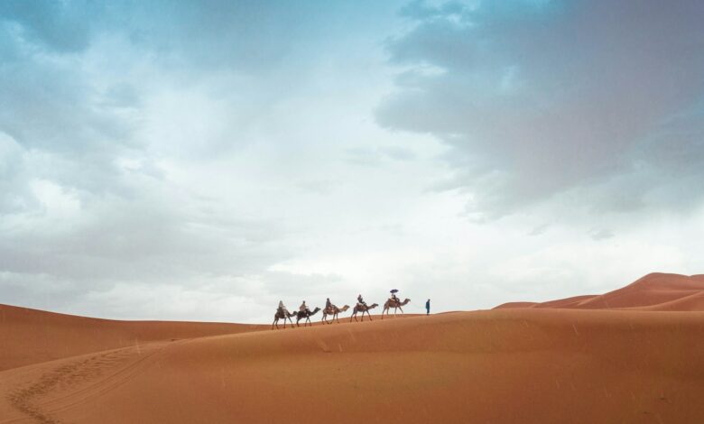 voyage au milieu du Sahara
