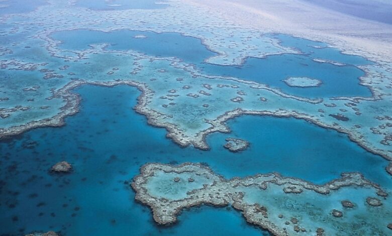grande barrière de corail en Australie