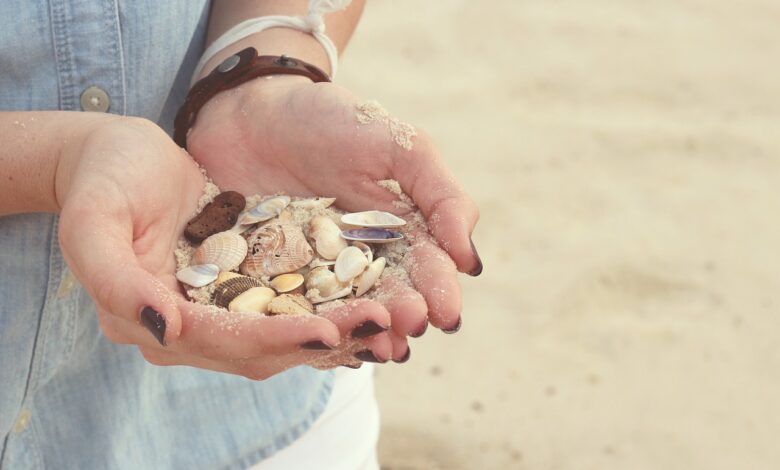 des coquillages sur la plage : l'intervention humaine