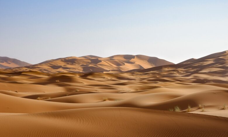 le Sahara le plus grand désert chaud du monde