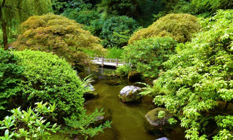 LE JARDIN JAPONAIS DE PORTLAND, USA