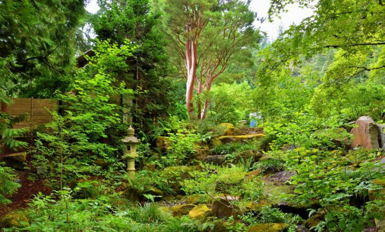 PORTLAND JARDIN JAPONAIS