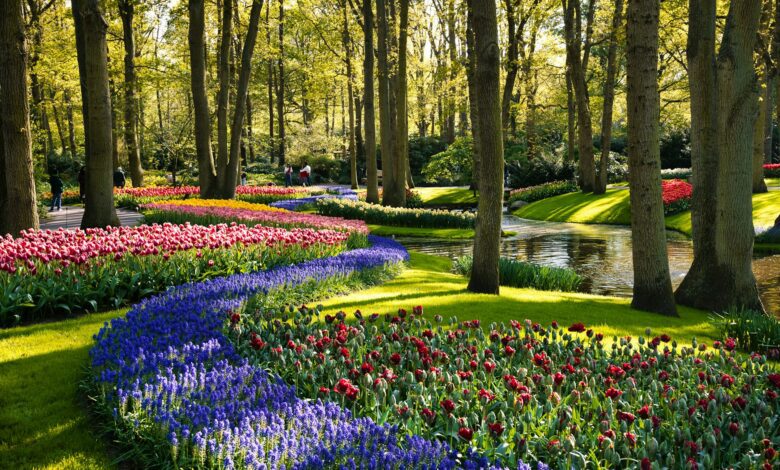 Jardin de Keukenhof, Pays-Bas : L'un des plus beaux jardins du monde