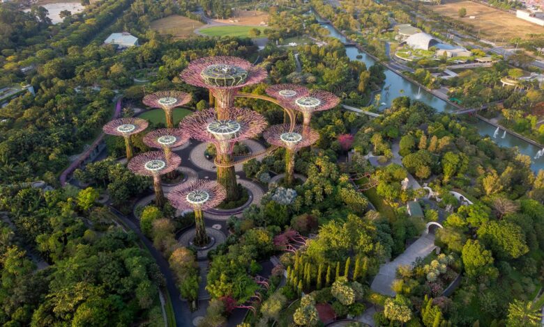 le jardin botanique de Singapour