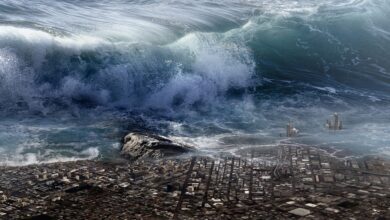 Comment se forment les tsunamis ?