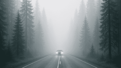 plongée dans le monde du brouillard