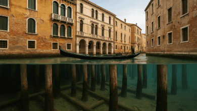 les pieux sous Venise