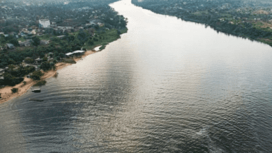 le fleuve congo une merveille de la nature